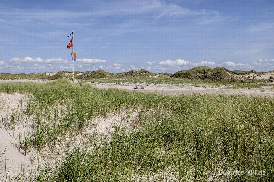 Eine grandiose InselAuszeit auf Amrum mit einer ganz besonderen Überraschung // Foto: Ralph Kerpa