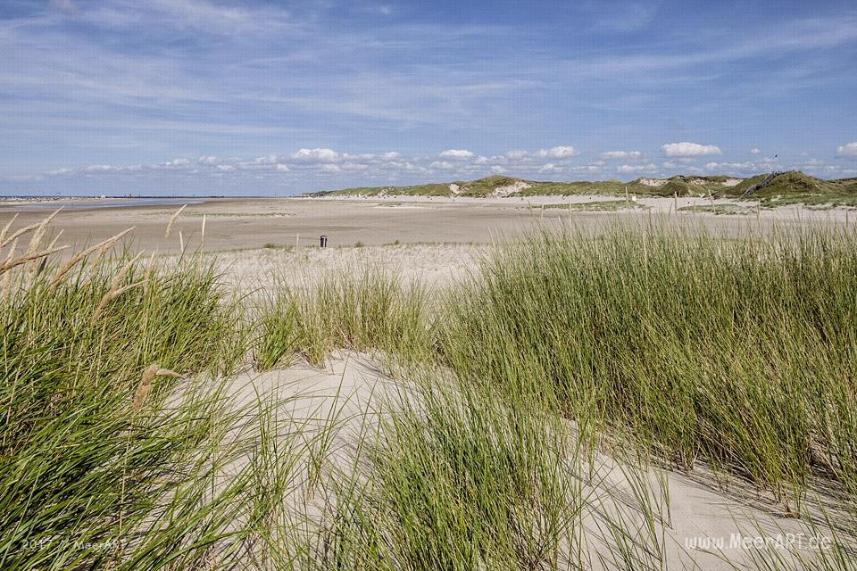 Eine grandiose InselAuszeit auf Amrum mit einer ganz besonderen Überraschung // Foto: Ralph Kerpa