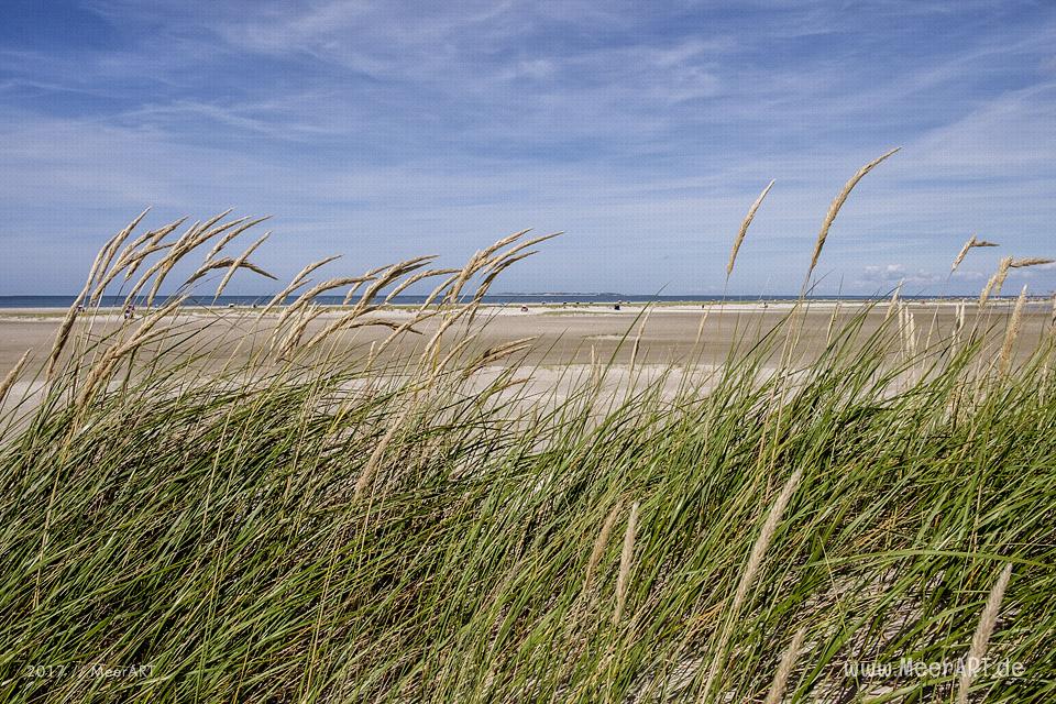 Eine grandiose InselAuszeit auf Amrum mit einer ganz besonderen Überraschung // Foto: Ralph Kerpa