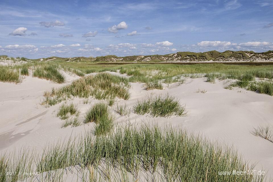 Eine grandiose InselAuszeit auf Amrum mit einer ganz besonderen Überraschung // Foto: Ralph Kerpa
