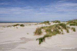 Eine grandiose InselAuszeit auf Amrum mit einer ganz besonderen Überraschung // Foto: Ralph Kerpa