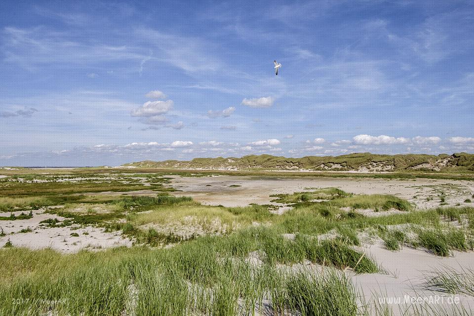 Eine grandiose InselAuszeit auf Amrum mit einer ganz besonderen Überraschung // Foto: Ralph Kerpa