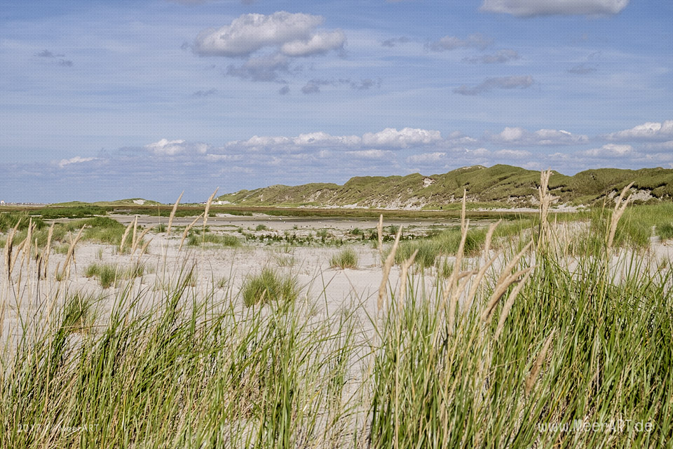 Eine grandiose InselAuszeit auf Amrum mit einer ganz besonderen Überraschung // Foto: Ralph Kerpa