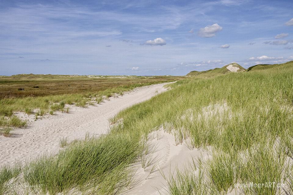 Eine grandiose InselAuszeit auf Amrum mit einer ganz besonderen Überraschung // Foto: Ralph Kerpa
