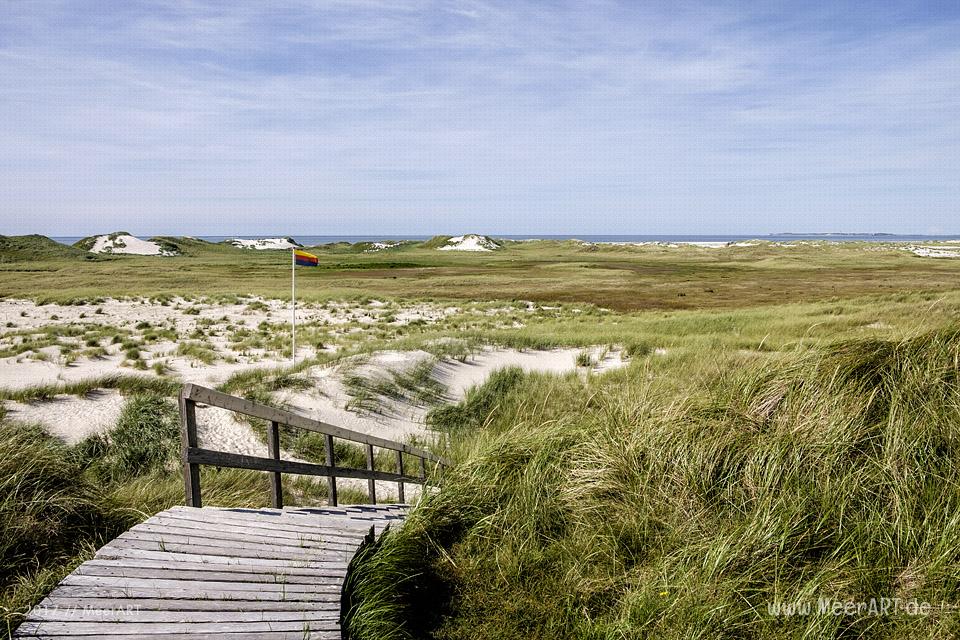 Eine grandiose InselAuszeit auf Amrum mit einer ganz besonderen Überraschung - Das Motiv ist als Wandbild vom Meer bei uns erhältlich // Foto: Ralph Kerpa