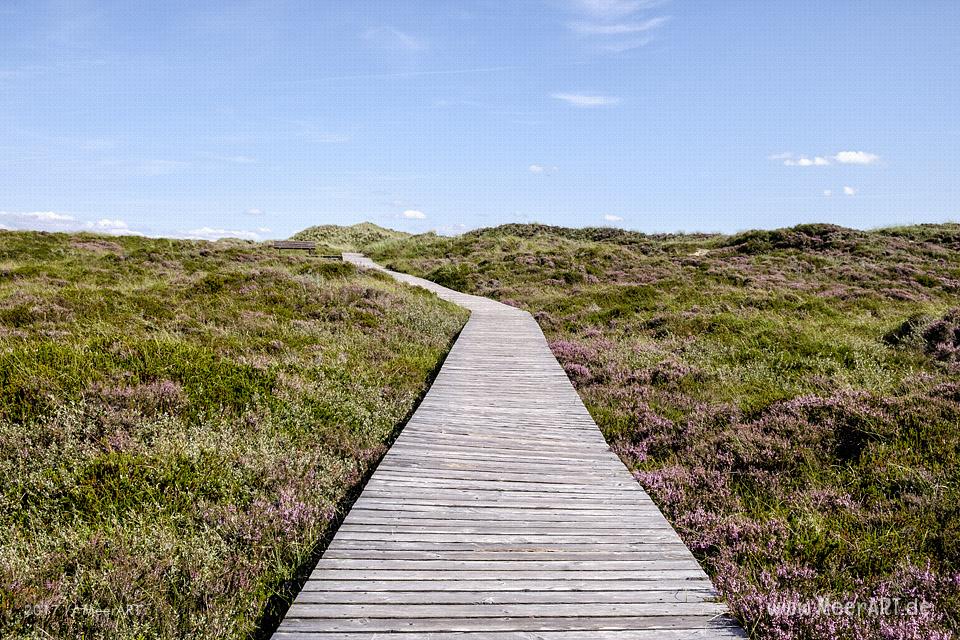 Eine grandiose InselAuszeit auf Amrum mit einer ganz besonderen Überraschung // Foto: Ralph Kerpa