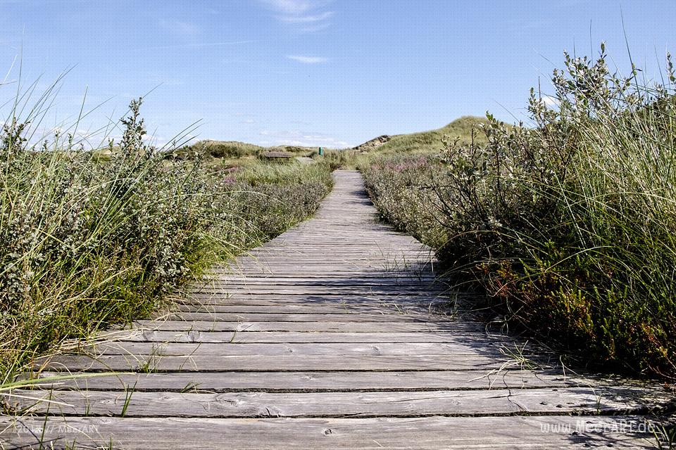 Eine grandiose InselAuszeit auf Amrum mit einer ganz besonderen Überraschung // Foto: Ralph Kerpa