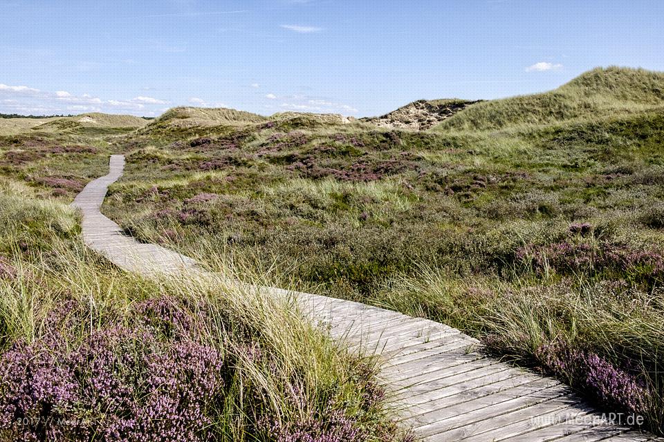 Eine grandiose InselAuszeit auf Amrum mit einer ganz besonderen Überraschung // Foto: Ralph Kerpa