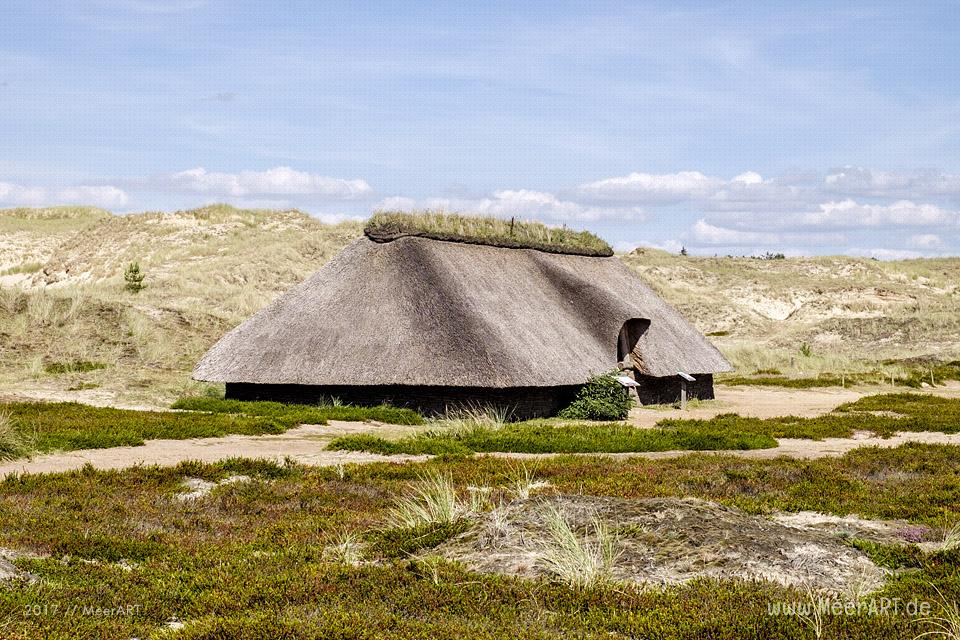 Eine grandiose InselAuszeit auf Amrum mit einer ganz besonderen Überraschung // Foto: Ralph Kerpa