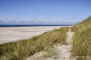 Eine grandiose InselAuszeit auf Amrum mit einer ganz besonderen Überraschung - Das Motiv ist als Wandbild vom Meer bei uns erhältlich // Foto: Ralph Kerpa