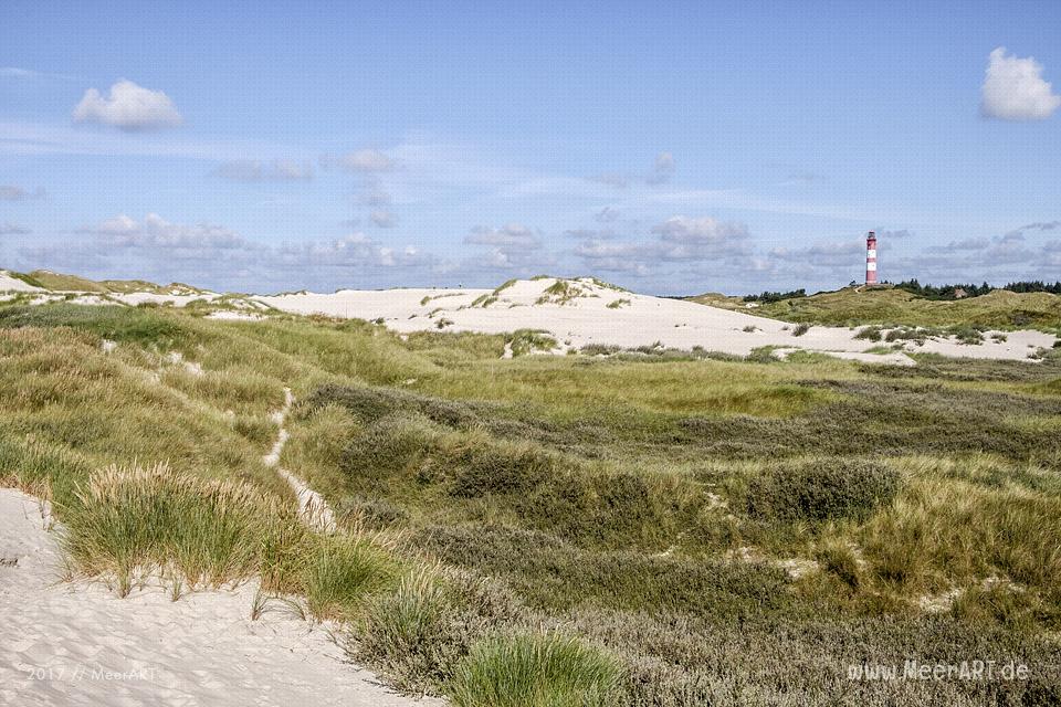 Eine grandiose InselAuszeit auf Amrum mit einer ganz besonderen Überraschung // Foto: Ralph Kerpa