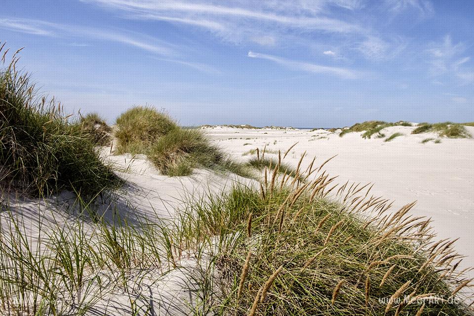 Eine grandiose InselAuszeit auf Amrum mit einer ganz besonderen Überraschung // Foto: Ralph Kerpa