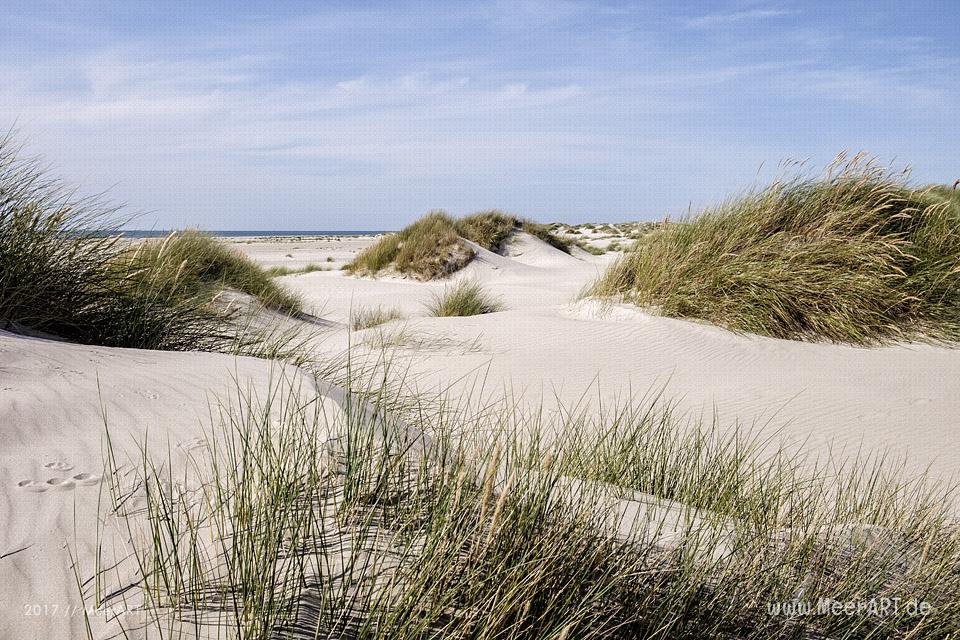 Eine grandiose InselAuszeit auf Amrum mit einer ganz besonderen Überraschung // Foto: Ralph Kerpa