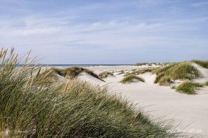 Eine grandiose InselAuszeit auf Amrum mit einer ganz besonderen Überraschung - Das Motiv ist als Wandbild vom Meer bei uns erhältlich // Foto: Ralph Kerpa