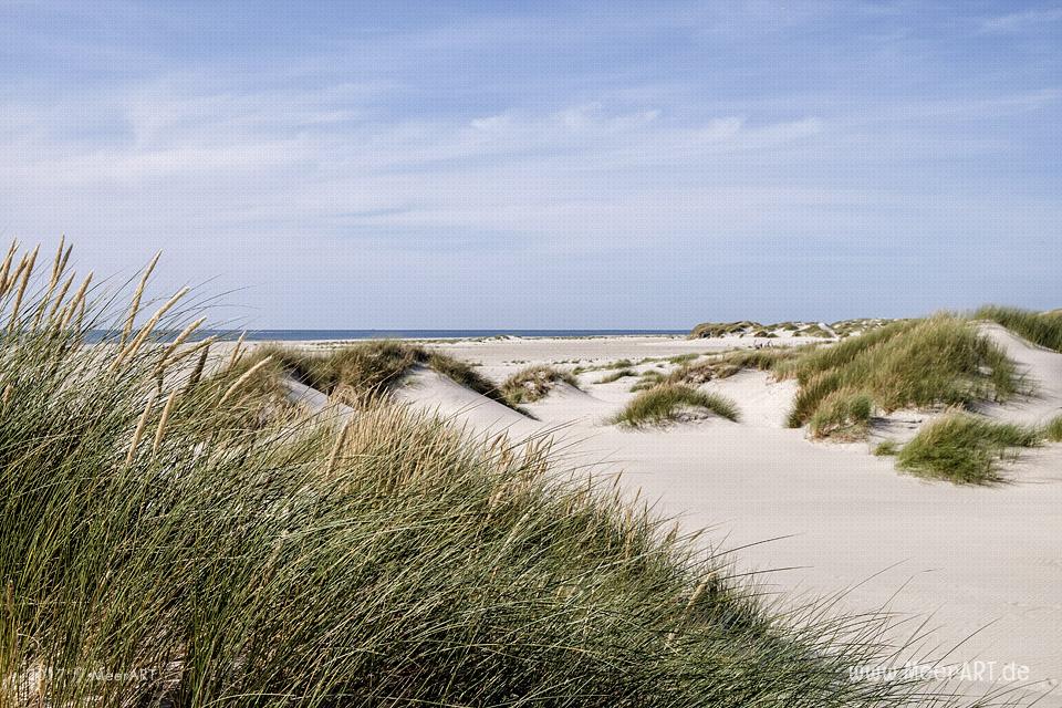 Eine grandiose InselAuszeit auf Amrum mit einer ganz besonderen Überraschung // Foto: Ralph Kerpa