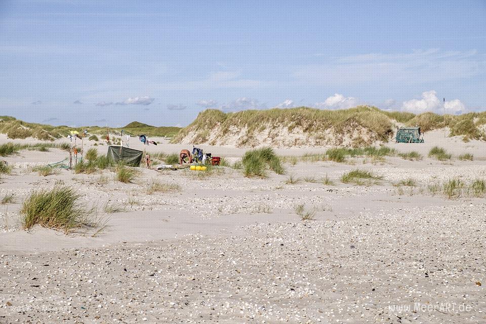 Eine grandiose InselAuszeit auf Amrum mit einer ganz besonderen Überraschung // Foto: Ralph Kerpa