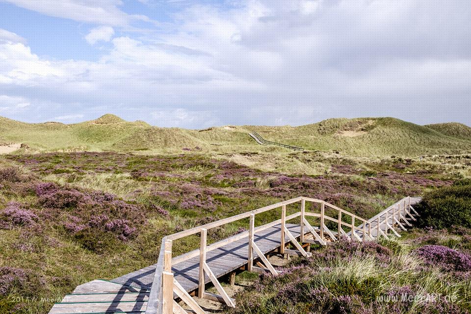 Eine grandiose InselAuszeit auf Amrum mit einer ganz besonderen Überraschung // Foto: Ralph Kerpa