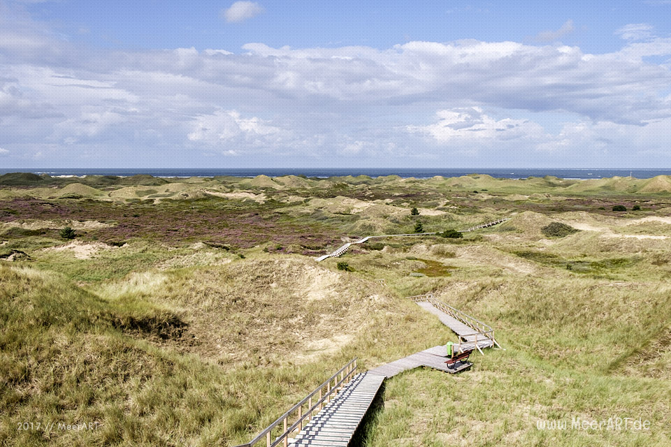 Eine grandiose InselAuszeit auf Amrum mit einer ganz besonderen Überraschung // Foto: Ralph Kerpa