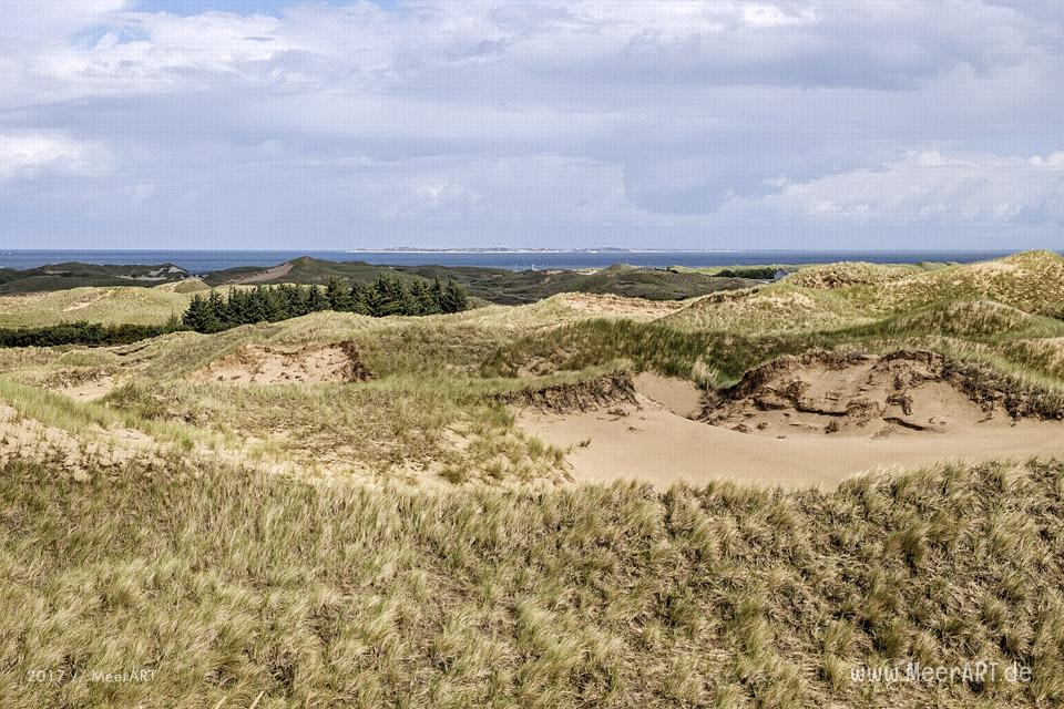 Eine grandiose InselAuszeit auf Amrum mit einer ganz besonderen Überraschung // Foto: Ralph Kerpa