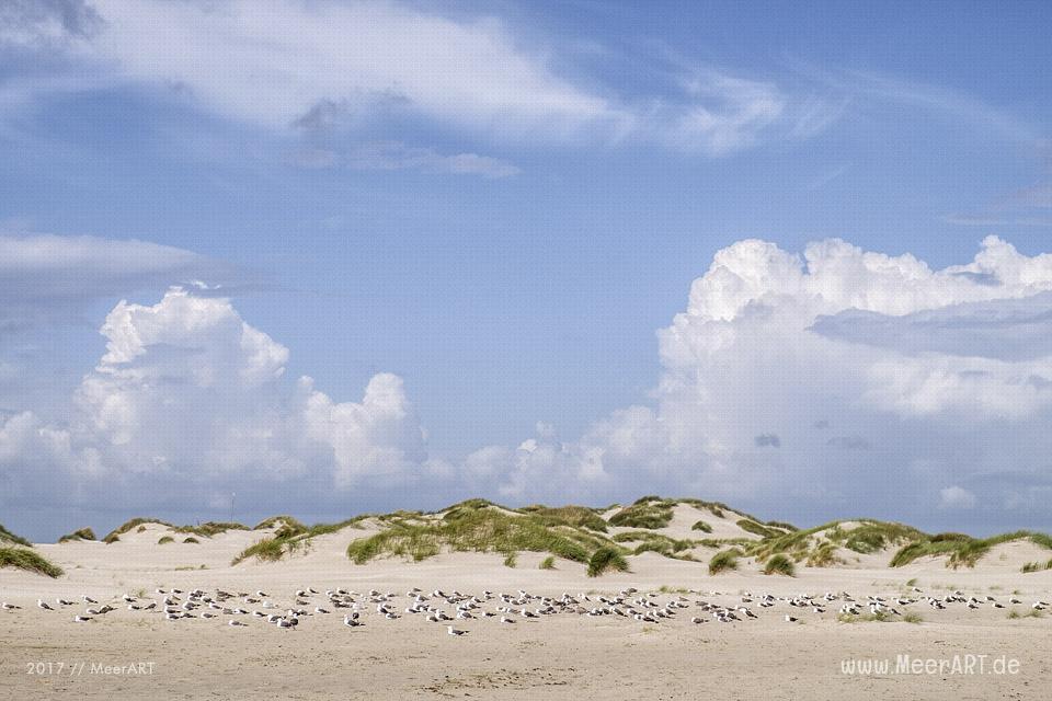 Eine grandiose InselAuszeit auf Amrum mit einer ganz besonderen Überraschung // Foto: Ralph Kerpa