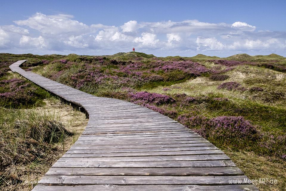 Eine grandiose InselAuszeit auf Amrum mit einer ganz besonderen Überraschung // Foto: Ralph Kerpa