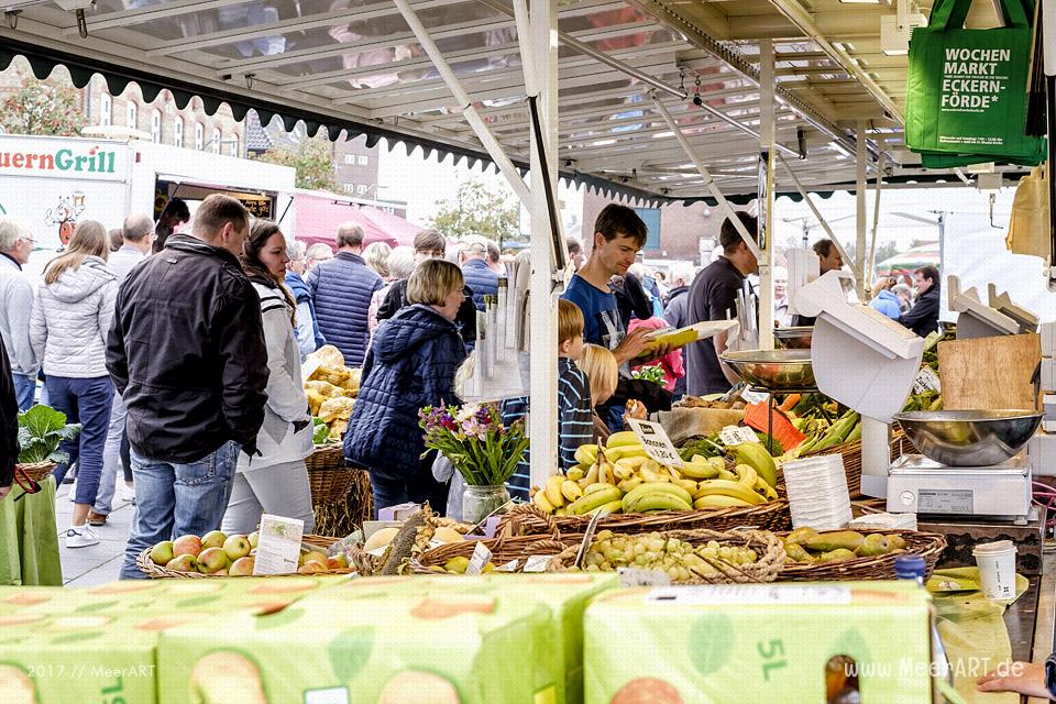 Markt der regionalen Genüsse - Der Mohltied! Green Market in Eckernförde am 17.09.2017 // Foto: Ralph Kerpa