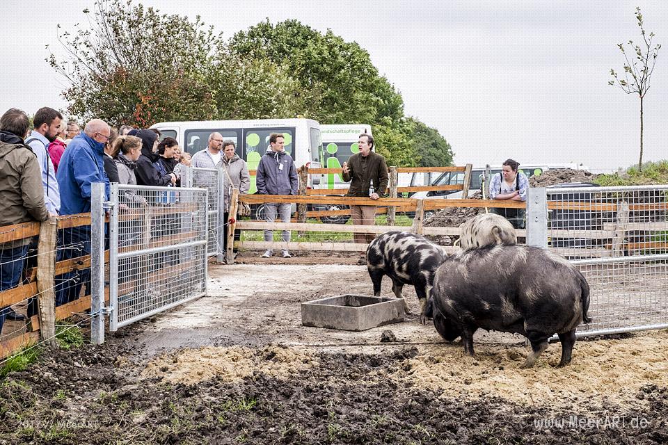 Eröffnung des Geheges und die offizielle Übergabe der Turopoljes mit einem anschließendem Hoffest // Foto: MeerART