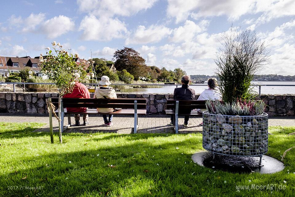 Ein sonniger Herbsttag in Schleswig an der Schlei // Foto: Ralph Kerpa