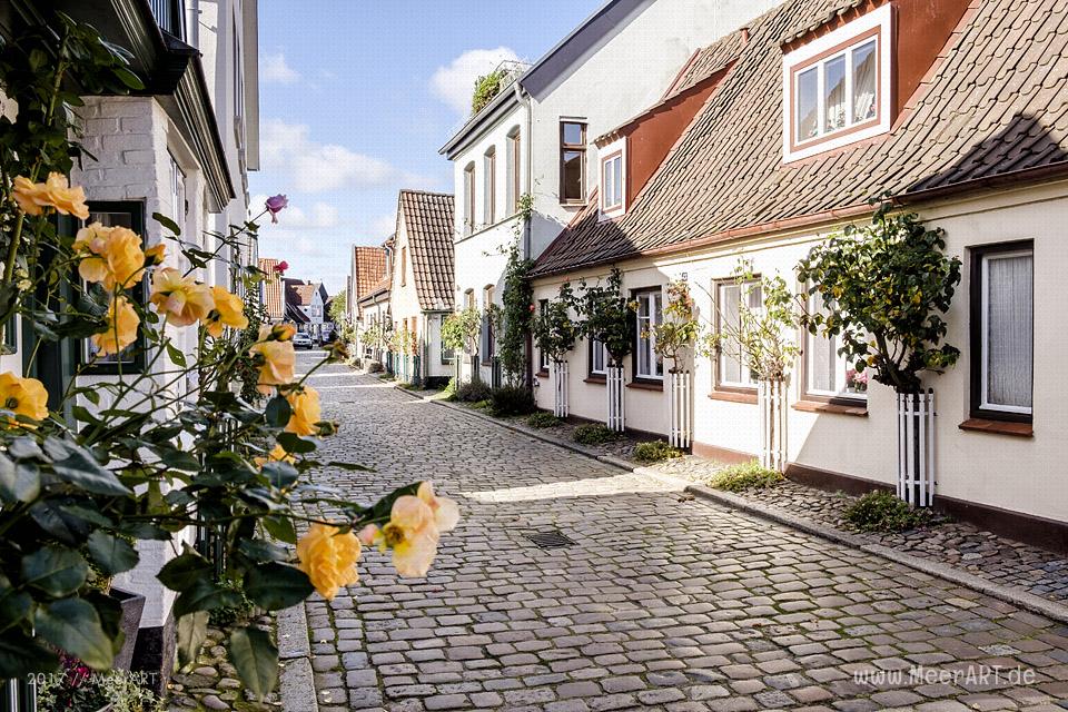 Ein sonniger Herbsttag in Schleswig an der Schlei // Foto: Ralph Kerpa