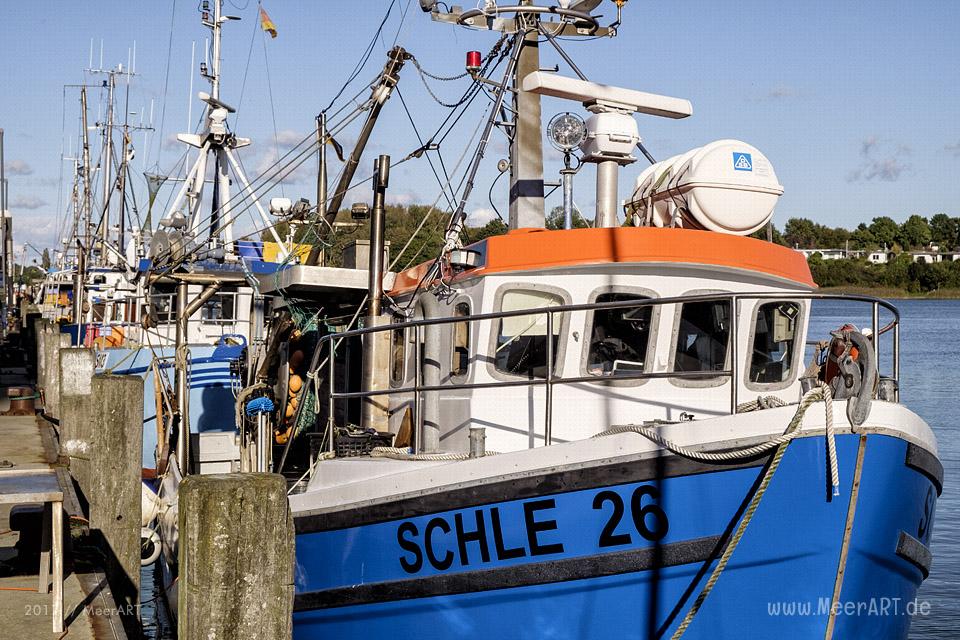Ein sonniger Herbsttag in Kappeln an der Schlei // Foto: Ralph Kerpa