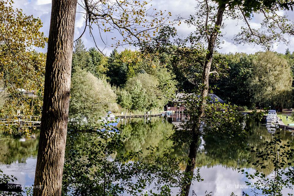Herbstimpressionen aus Güster am Elbe-Lübeck-Kanal // Foto: Ralph Kerpa
