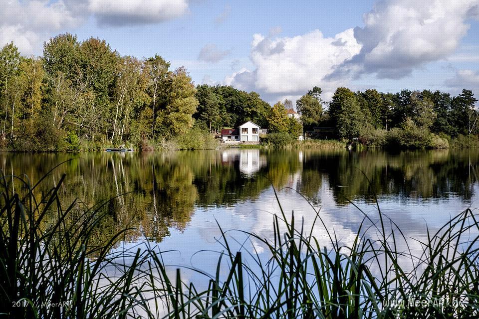 Herbstimpressionen aus Güster am Elbe-Lübeck-Kanal // Foto: Ralph Kerpa