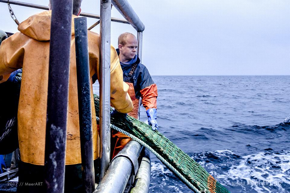 Auf Fangfahrt vor Fehmarn mit Mike Hilger und seiner Crew auf der "SB4 ANDREA" // Foto: Ralph Kerpa