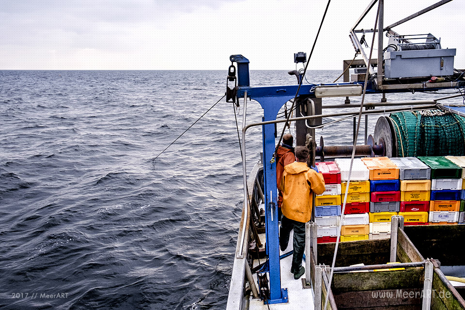 Auf Fangfahrt vor Fehmarn mit Mike Hilger und seiner Crew auf der "SB4 ANDREA" // Foto: Ralph Kerpa