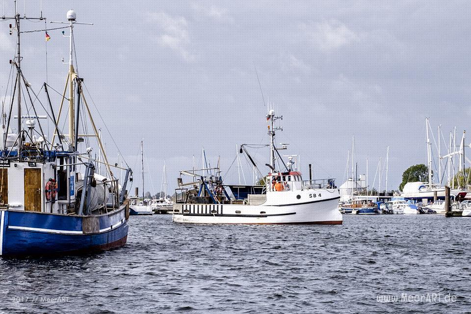 Der Fischerei und Erlebnishafen in Burgstaaken, eine touristische Sehenswürdigkeit auf Fehmarn // Foto: Ralph Kerpa