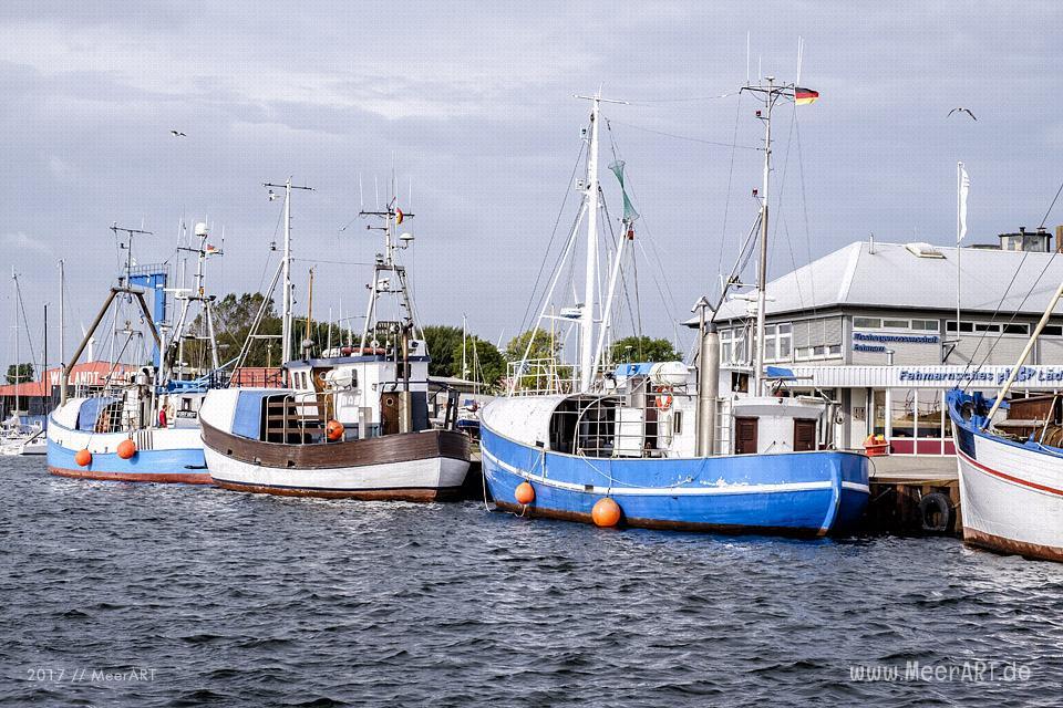 Der Fischerei und Erlebnishafen in Burgstaaken, eine touristische Sehenswürdigkeit auf Fehmarn // Foto: Ralph Kerpa