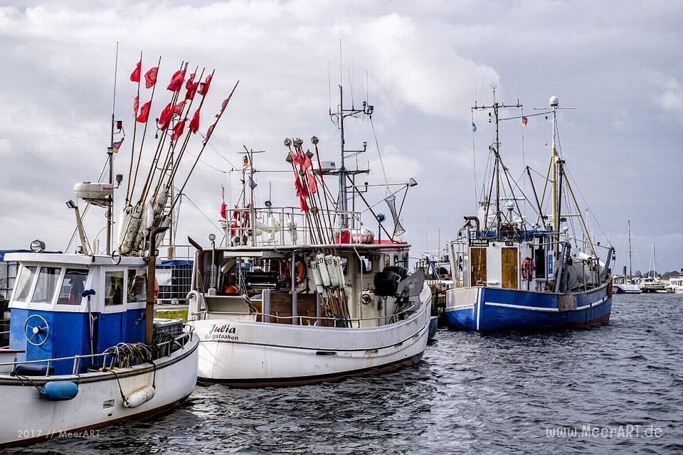 Der Fischerei und Erlebnishafen in Burgstaaken, eine touristische Sehenswürdigkeit auf Fehmarn // Foto: Ralph Kerpa