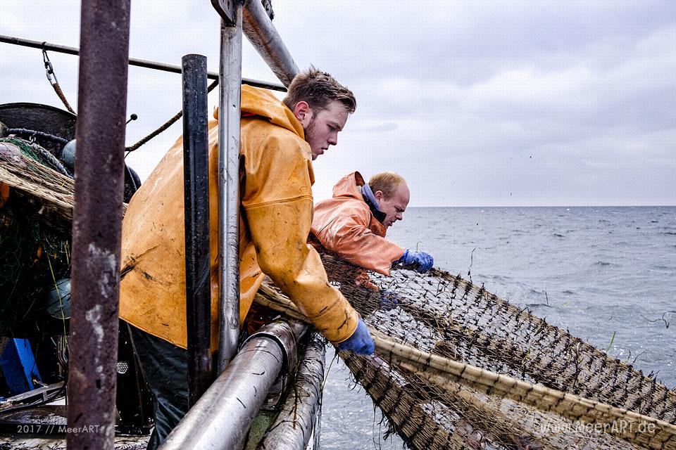 Auf Fangfahrt vor Fehmarn mit Mike Hilger und seiner Crew auf der "SB4 ANDREA" // Foto: Ralph Kerpa