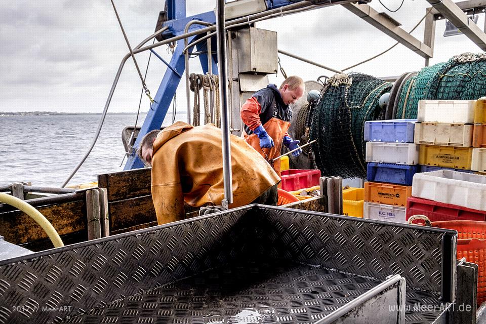 Auf Fangfahrt vor Fehmarn mit Mike Hilger und seiner Crew auf der "SB4 ANDREA" // Foto: Ralph Kerpa