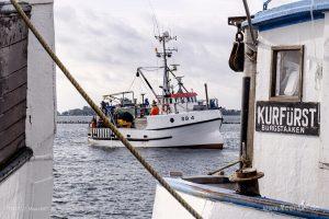 Auf Fangfahrt vor Fehmarn mit Mike Hilger und seiner Crew auf der "SB4 ANDREA" // Foto: Ralph Kerpa