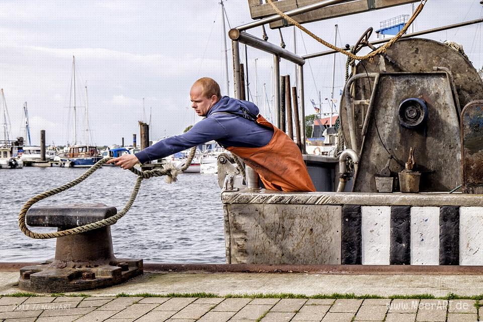 Auf Fangfahrt vor Fehmarn mit Mike Hilger und seiner Crew auf der "SB4 ANDREA" // Foto: Ralph Kerpa