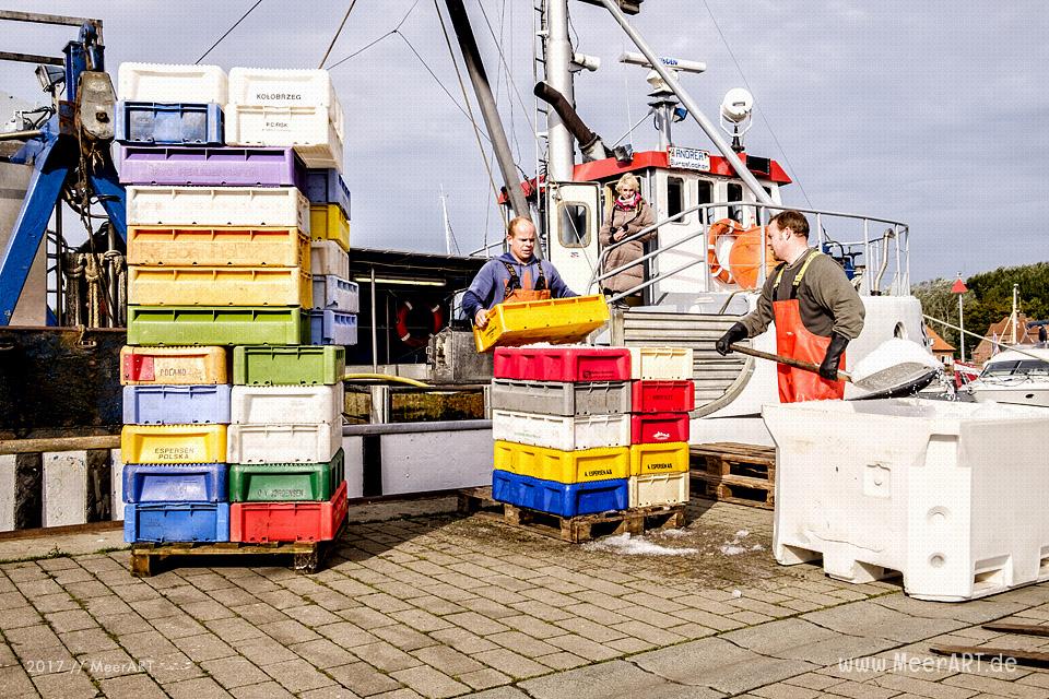 Auf Fangfahrt vor Fehmarn mit Mike Hilger und seiner Crew auf der "SB4 ANDREA" // Foto: Ralph Kerpa
