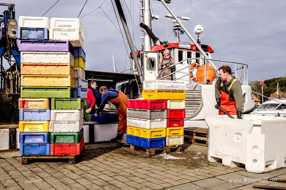 Auf Fangfahrt vor Fehmarn mit Mike Hilger und seiner Crew auf der "SB4 ANDREA" // Foto: Ralph Kerpa
