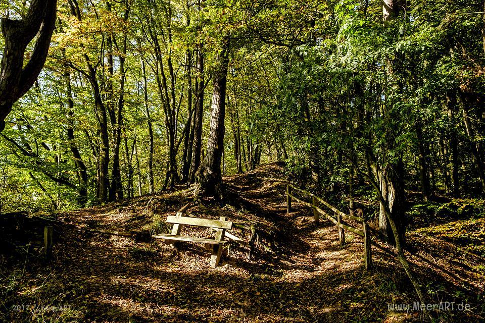 Naturschutzgebiet am HOHEN ELBUFER zwischen Tesperhude und Lauenburg // Foto: Ralph Kerpa