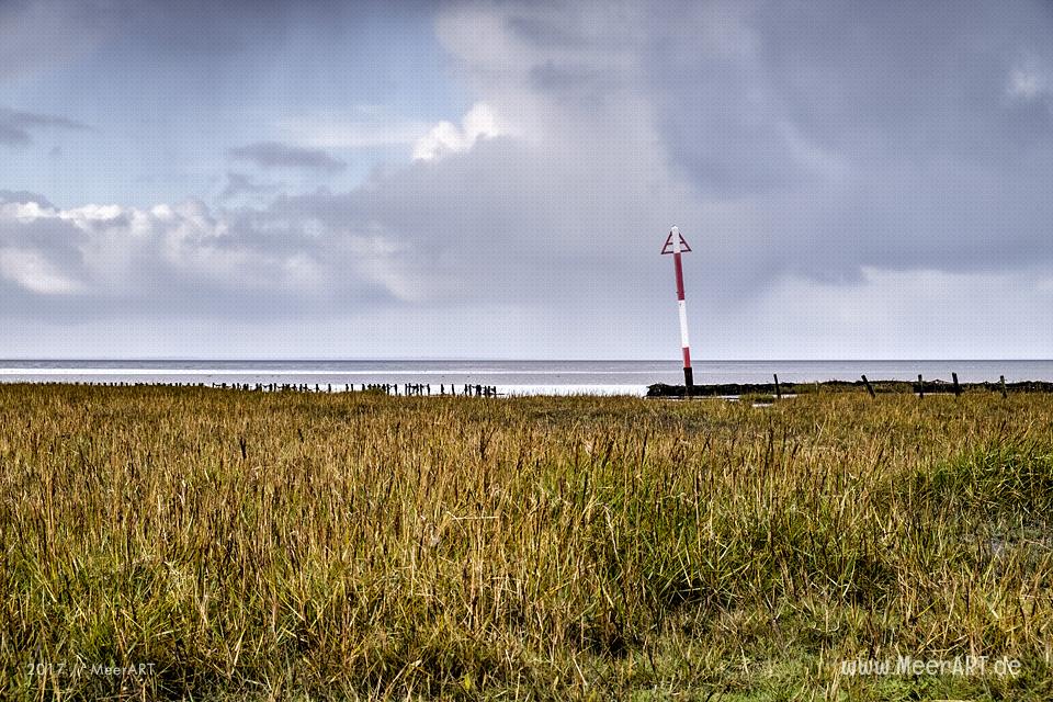 Rickelsbüller Koog - Schleswig-Holsteins nördlichster Koog an der Nordwestküste // Foto: Ralph Kerpa