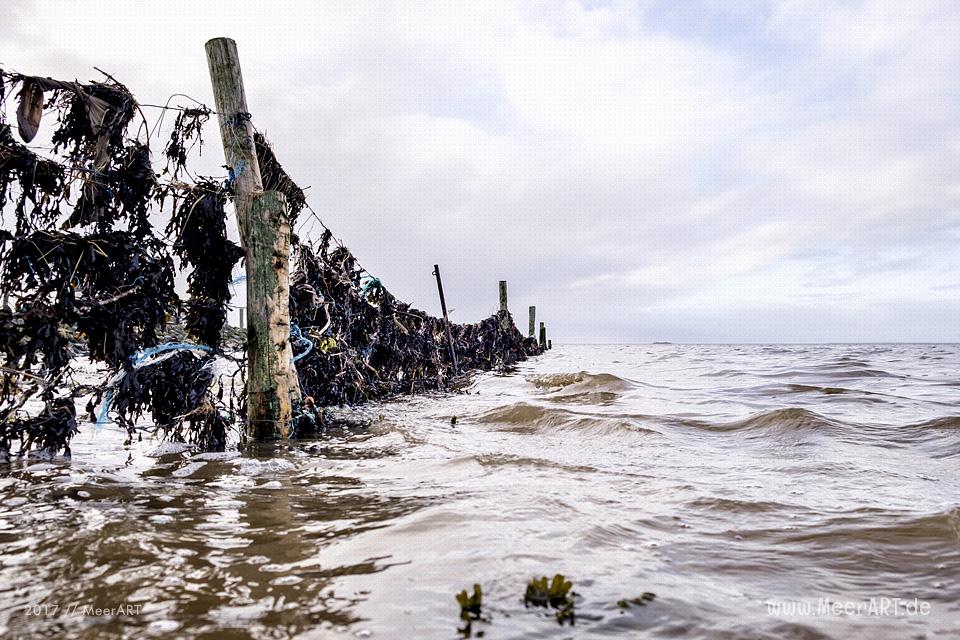 Der 1959 erbaute Hafen Schlüttsiel im Kreis Nordfriesland / Foto: Ralph Kerpa