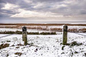 Das EMMERLEV KLEV in Dänemark ist eine der wenigen Steilküsten an der Nordsee // Foto: Ralph Kerpa