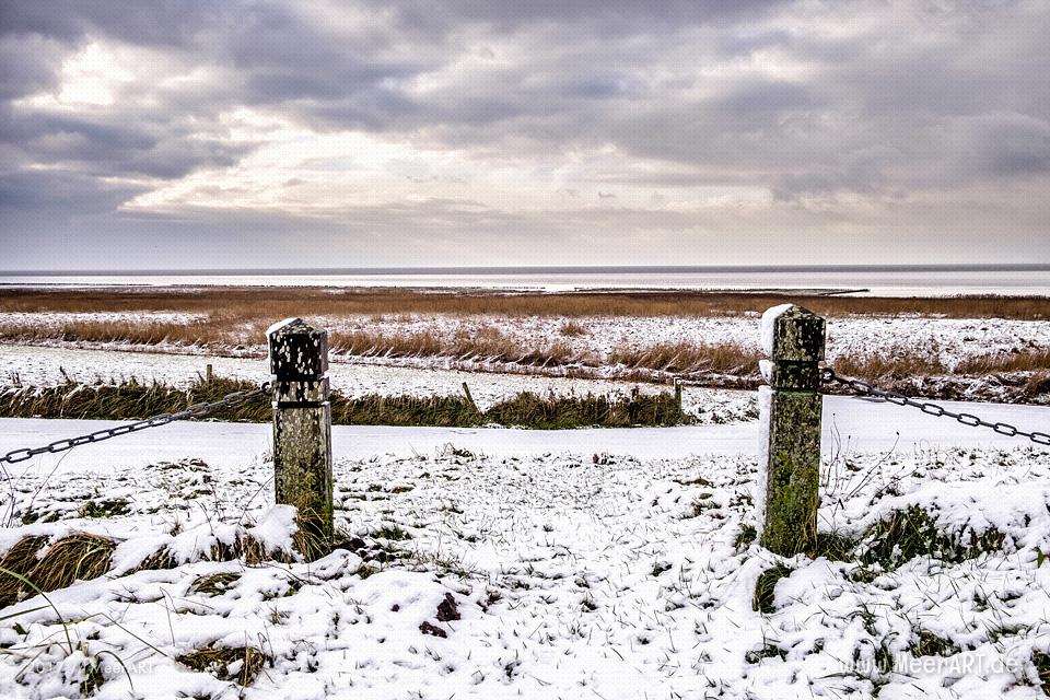 Das EMMERLEV KLEV in Dänemark ist eine der wenigen Steilküsten an der Nordsee // Foto: Ralph Kerpa