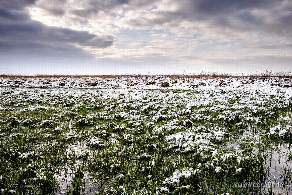 Das EMMERLEV KLEV in Dänemark ist eine der wenigen Steilküsten an der Nordsee // Foto: Ralph Kerpa