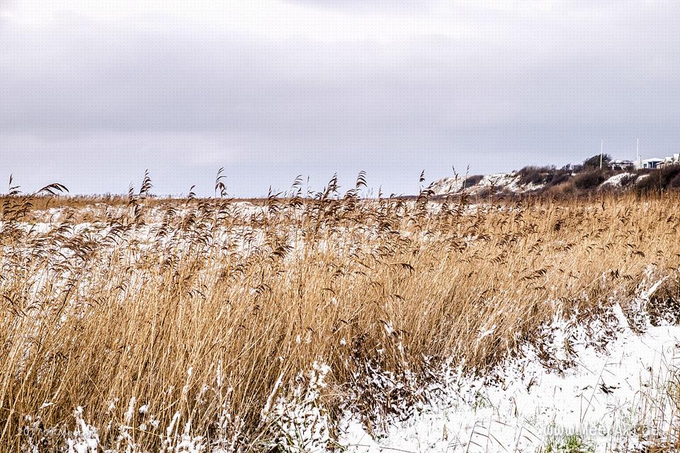 Das EMMERLEV KLEV in Dänemark ist eine der wenigen Steilküsten an der Nordsee // Foto: Ralph Kerpa